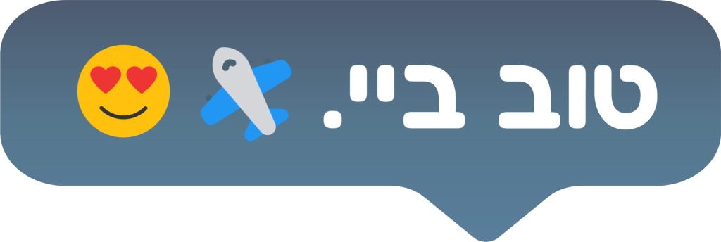 טוב ביי. מוצאים טיסות באמצעות AI