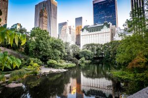 סקירה מקיפה על ניו יורק, NY, ארצות הברית בארצות הברית / קנדה